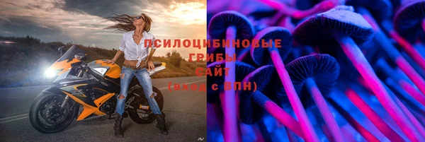 крисы Баксан