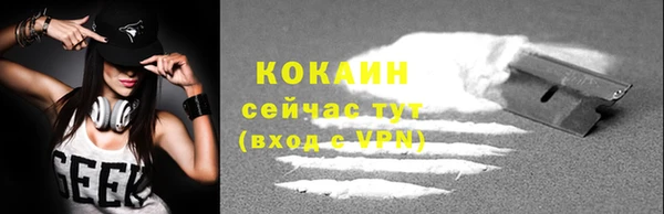 крисы Баксан