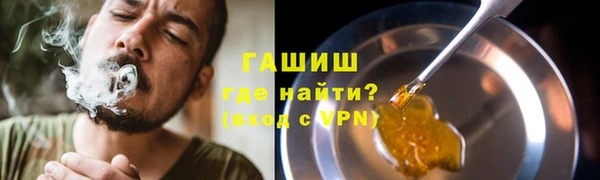 PSILOCYBIN Белокуриха
