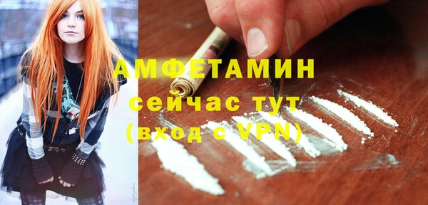 крисы Баксан