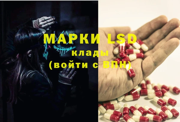 крисы Беломорск