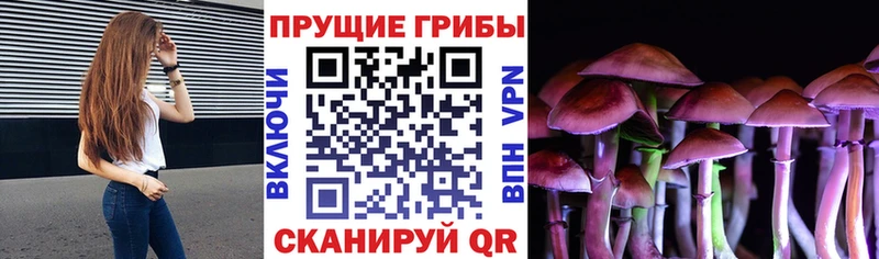 наркотики  Елабуга  Галлюциногенные грибы мухоморы 